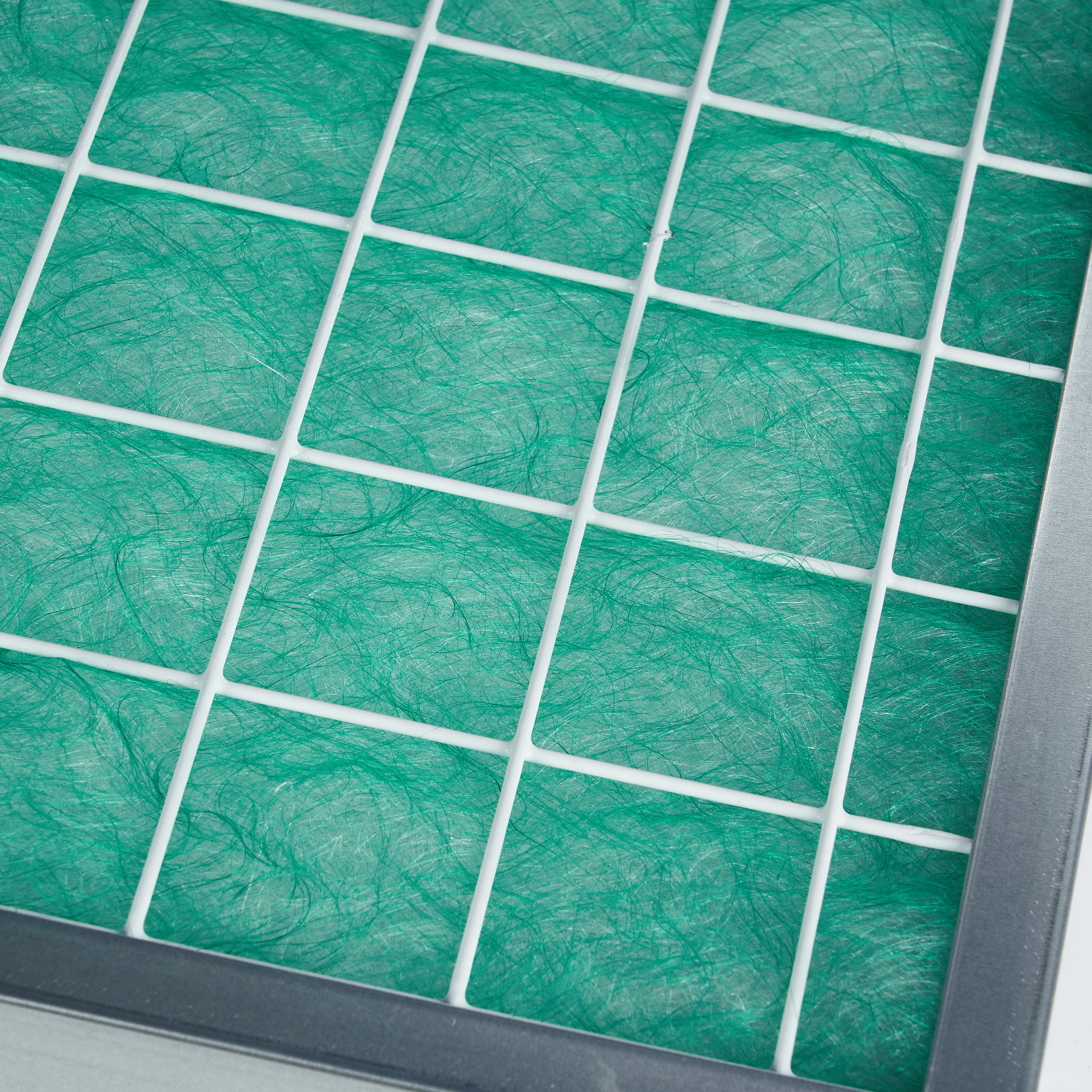 20220614富瑞希04298